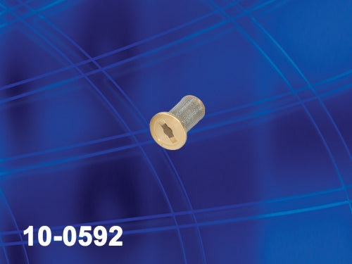 Filter - 100 mesh