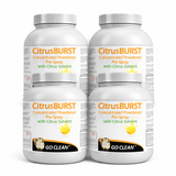 Citrus Burst | Powder Pre Spray | With Citrus Solvent | Carpet Cleaning Pre spray - Cleaning Supply Warehouse